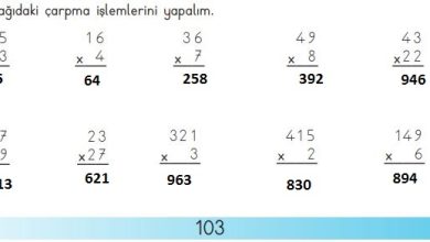 3. Sınıf Matematik Meb Yayınları Sayfa 103 Cevapları