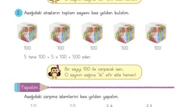 3. Sınıf Matematik Meb Yayınları Sayfa 105 Cevapları