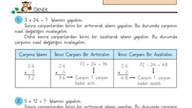 3. Sınıf Matematik Meb Yayınları Sayfa 106 Cevapları