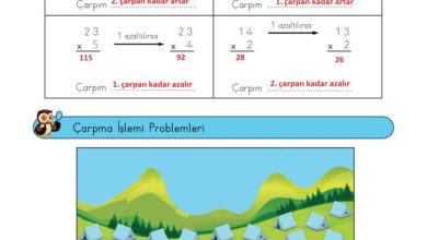 3. Sınıf Matematik Meb Yayınları Sayfa 107 Cevapları