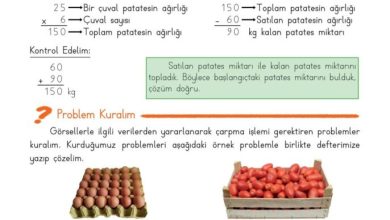 3. Sınıf Matematik Meb Yayınları Sayfa 109 Cevapları