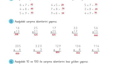 3. Sınıf Matematik Meb Yayınları Sayfa 110 Cevapları