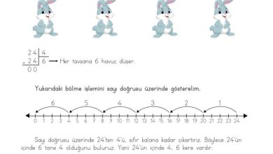 3. Sınıf Matematik Meb Yayınları Sayfa 113 Cevapları