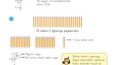 3. Sınıf Matematik Meb Yayınları Sayfa 114 Cevapları