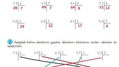 3. Sınıf Matematik Meb Yayınları Sayfa 115 Cevapları