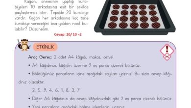 3. Sınıf Matematik Meb Yayınları Sayfa 116 Cevapları