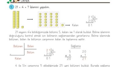 3. Sınıf Matematik Meb Yayınları Sayfa 118 Cevapları