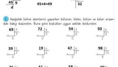 3. Sınıf Matematik Meb Yayınları Sayfa 119 Cevapları