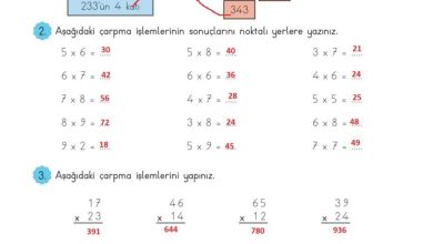 3. Sınıf Matematik Meb Yayınları Sayfa 123 Cevapları