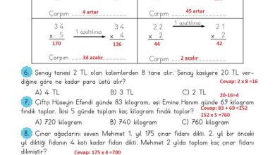 3. Sınıf Matematik Meb Yayınları Sayfa 124 Cevapları