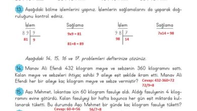 3. Sınıf Matematik Meb Yayınları Sayfa 125 Cevapları