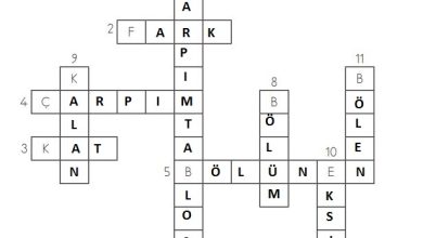 3. Sınıf Matematik Meb Yayınları Sayfa 126 Cevapları