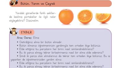 3. Sınıf Matematik Meb Yayınları Sayfa 128 Cevapları