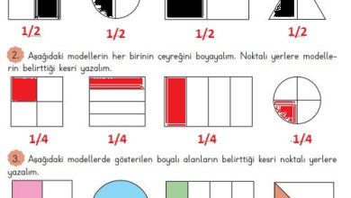 3. Sınıf Matematik Meb Yayınları Sayfa 130 Cevapları