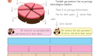 3. Sınıf Matematik Meb Yayınları Sayfa 131 Cevapları