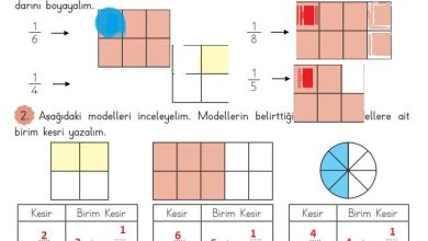 3. Sınıf Matematik Meb Yayınları Sayfa 133 Cevapları