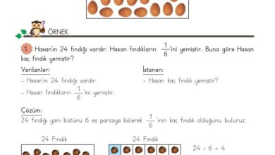 3. Sınıf Matematik Meb Yayınları Sayfa 136 Cevapları