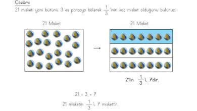 3. Sınıf Matematik Meb Yayınları Sayfa 137 Cevapları