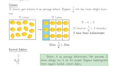 3. Sınıf Matematik Meb Yayınları Sayfa 138 Cevapları