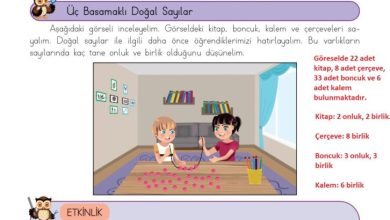 3. Sınıf Matematik Meb Yayınları Sayfa 14 Cevapları