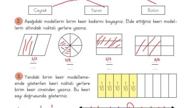 3. Sınıf Matematik Meb Yayınları Sayfa 140 Cevapları