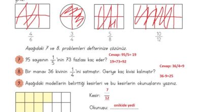 3. Sınıf Matematik Meb Yayınları Sayfa 141 Cevapları