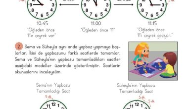 3. Sınıf Matematik Meb Yayınları Sayfa 143 Cevapları