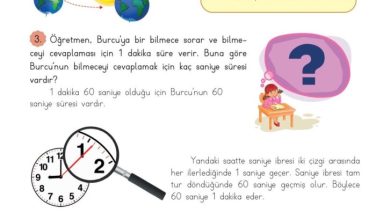 3. Sınıf Matematik Meb Yayınları Sayfa 146 Cevapları