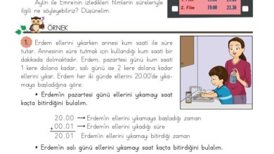 3. Sınıf Matematik Meb Yayınları Sayfa 147 Cevapları