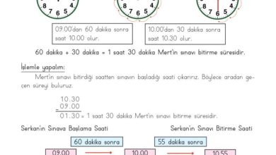 3. Sınıf Matematik Meb Yayınları Sayfa 148 Cevapları