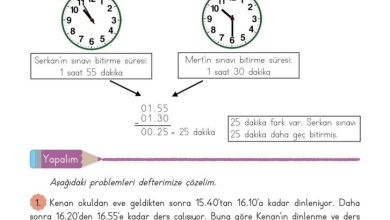 3. Sınıf Matematik Meb Yayınları Sayfa 149 Cevapları