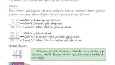 3. Sınıf Matematik Meb Yayınları Sayfa 151 Cevapları