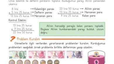 3. Sınıf Matematik Meb Yayınları Sayfa 156 Cevapları