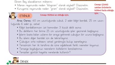 3. Sınıf Matematik Meb Yayınları Sayfa 158 Cevapları