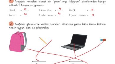 3. Sınıf Matematik Meb Yayınları Sayfa 159 Cevapları