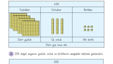 3. Sınıf Matematik Meb Yayınları Sayfa 16 Cevapları