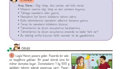 3. Sınıf Matematik Meb Yayınları Sayfa 160 Cevapları