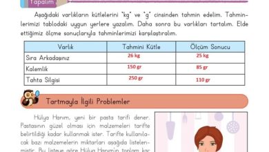 3. Sınıf Matematik Meb Yayınları Sayfa 161 Cevapları