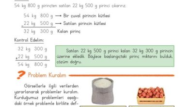 3. Sınıf Matematik Meb Yayınları Sayfa 162 Cevapları