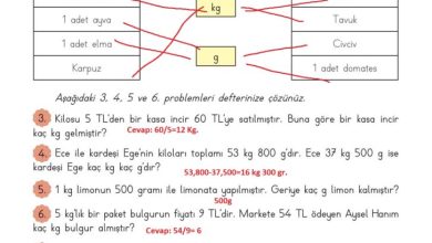 3. Sınıf Matematik Meb Yayınları Sayfa 163 Cevapları