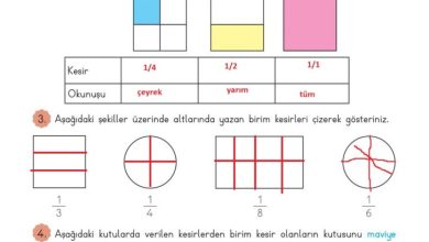 3. Sınıf Matematik Meb Yayınları Sayfa 164 Cevapları