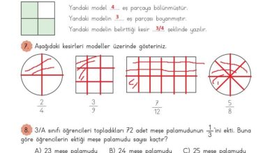 3. Sınıf Matematik Meb Yayınları Sayfa 165 Cevapları