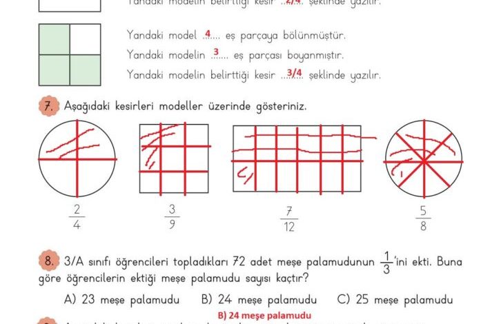 3. Sınıf Matematik Meb Yayınları Sayfa 165 Cevapları