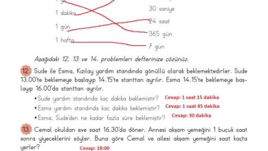 3. Sınıf Matematik Meb Yayınları Sayfa 166 Cevapları