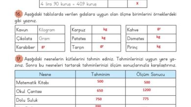 3. Sınıf Matematik Meb Yayınları Sayfa 167 Cevapları