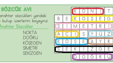 3. Sınıf Matematik Meb Yayınları Sayfa 169 Cevapları