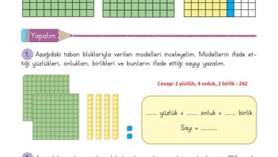 3. Sınıf Matematik Meb Yayınları Sayfa 17 Cevapları