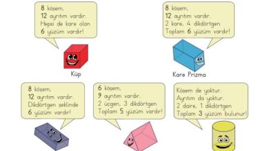 3. Sınıf Matematik Meb Yayınları Sayfa 172 Cevapları