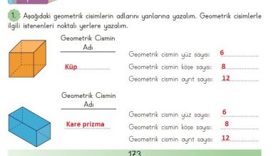 3. Sınıf Matematik Meb Yayınları Sayfa 173 Cevapları