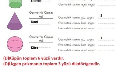 3. Sınıf Matematik Meb Yayınları Sayfa 174 Cevapları